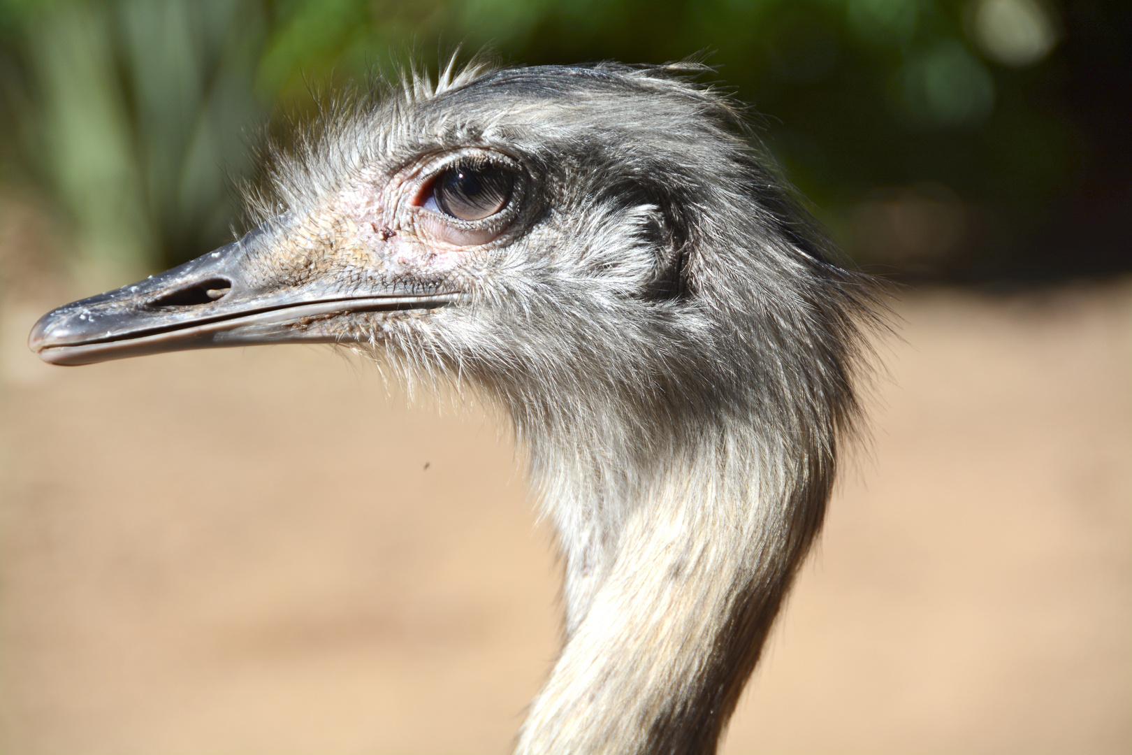 Augen auf