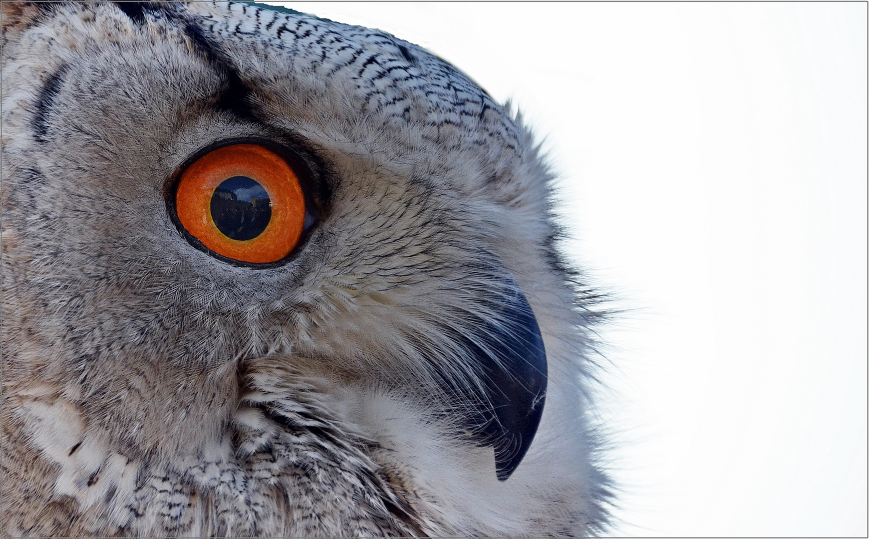 Augen auf !