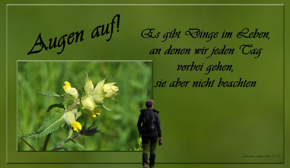 Augen auf Foto & Bild sprüche, fotomontage, digiart Bilder auf