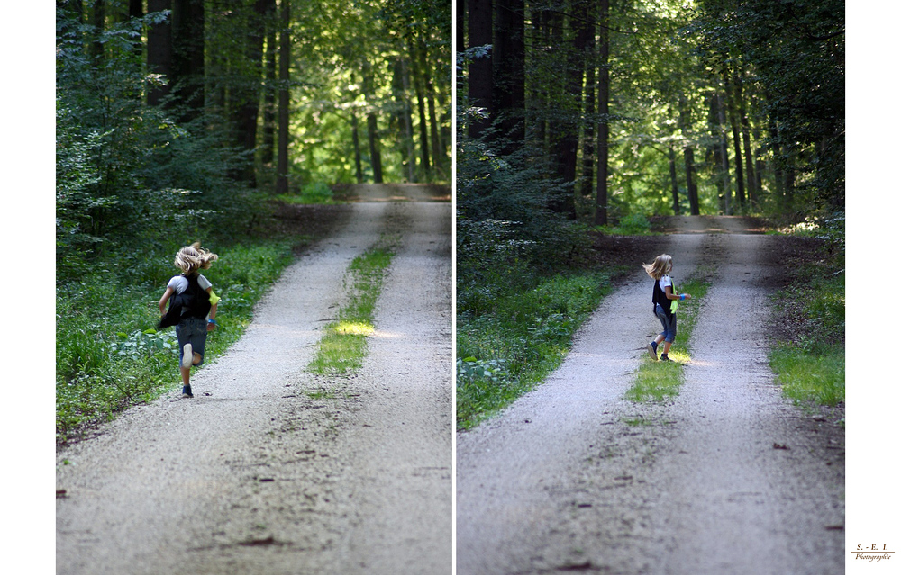 "Augen auf am Waldesweg 19"