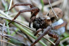 Augen auf im Gebirge