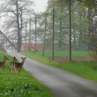 Augen auf im Straßenverkehr