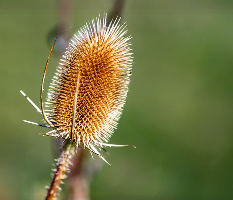 Augen auf in der Natur