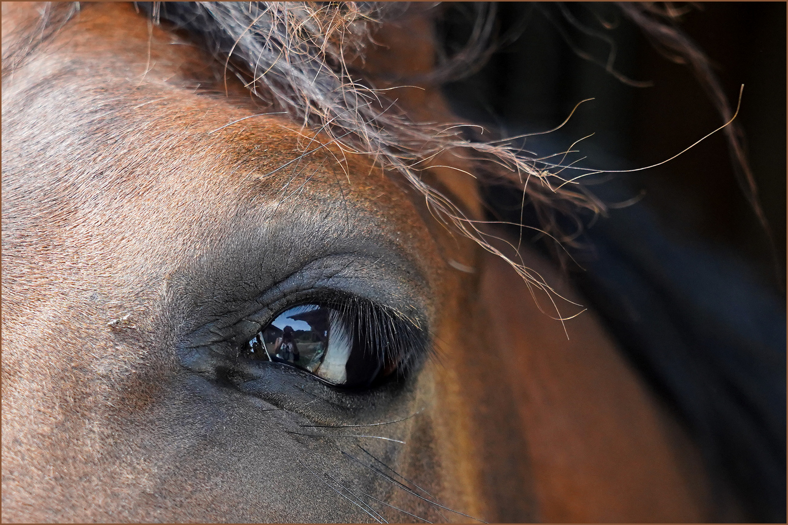 Augen-Blick