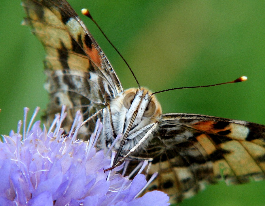 Augen-Blick 1