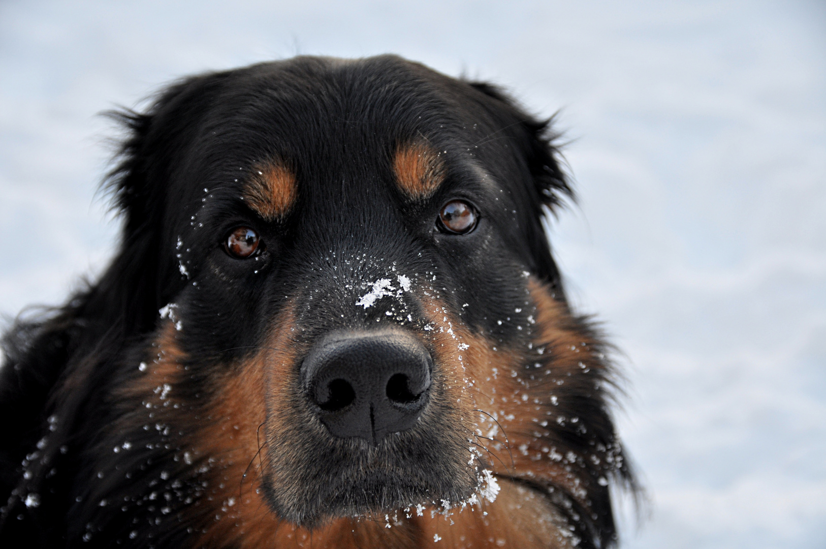 Augen-Blick