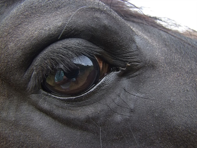 Augen-Blick