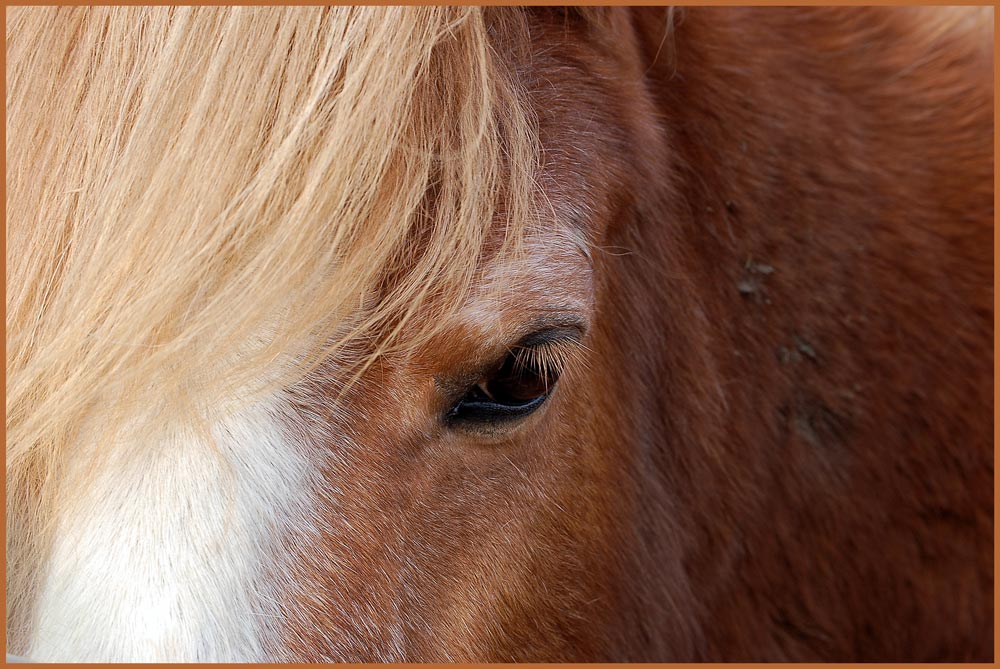 *Augen - Blick*