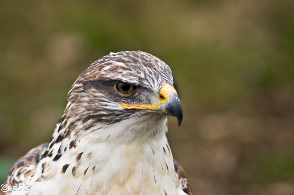 Augen-Blick