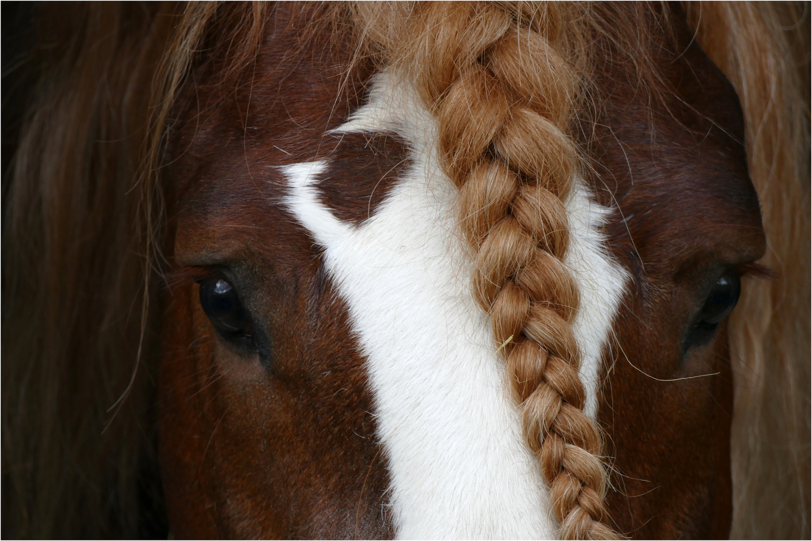 Augen-Blick