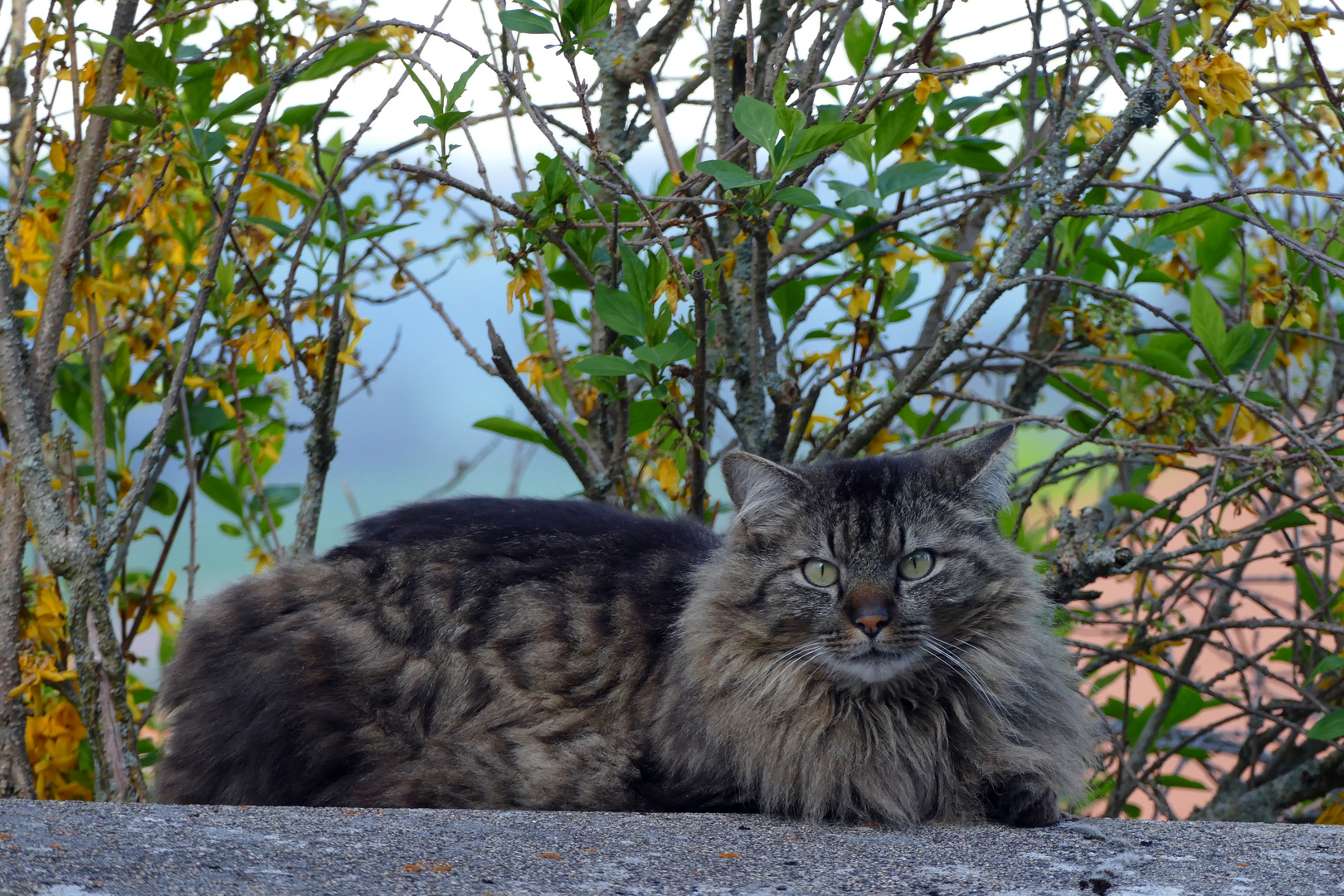 Augen-Blick