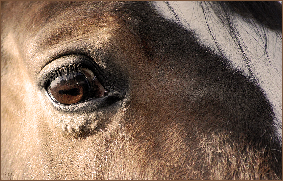 Augen Blick