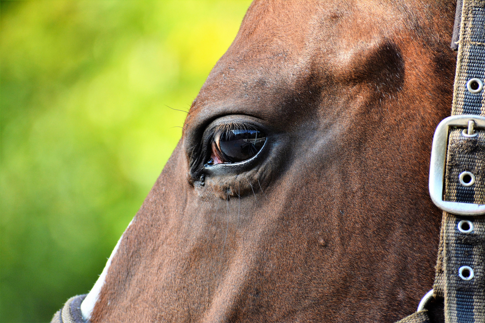 Augen-Blick