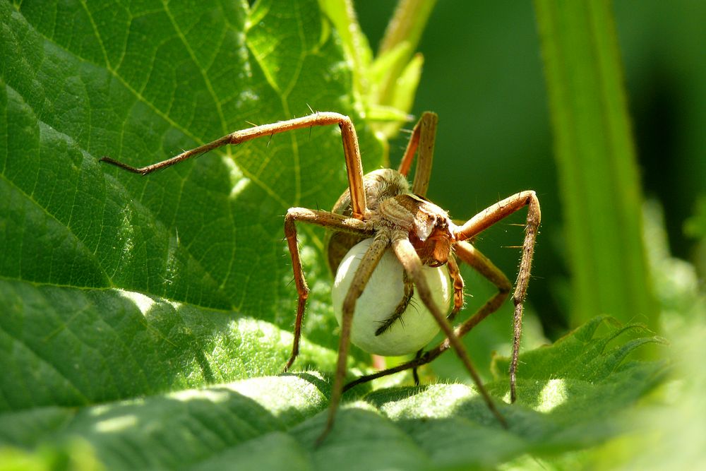 Augen-Blick