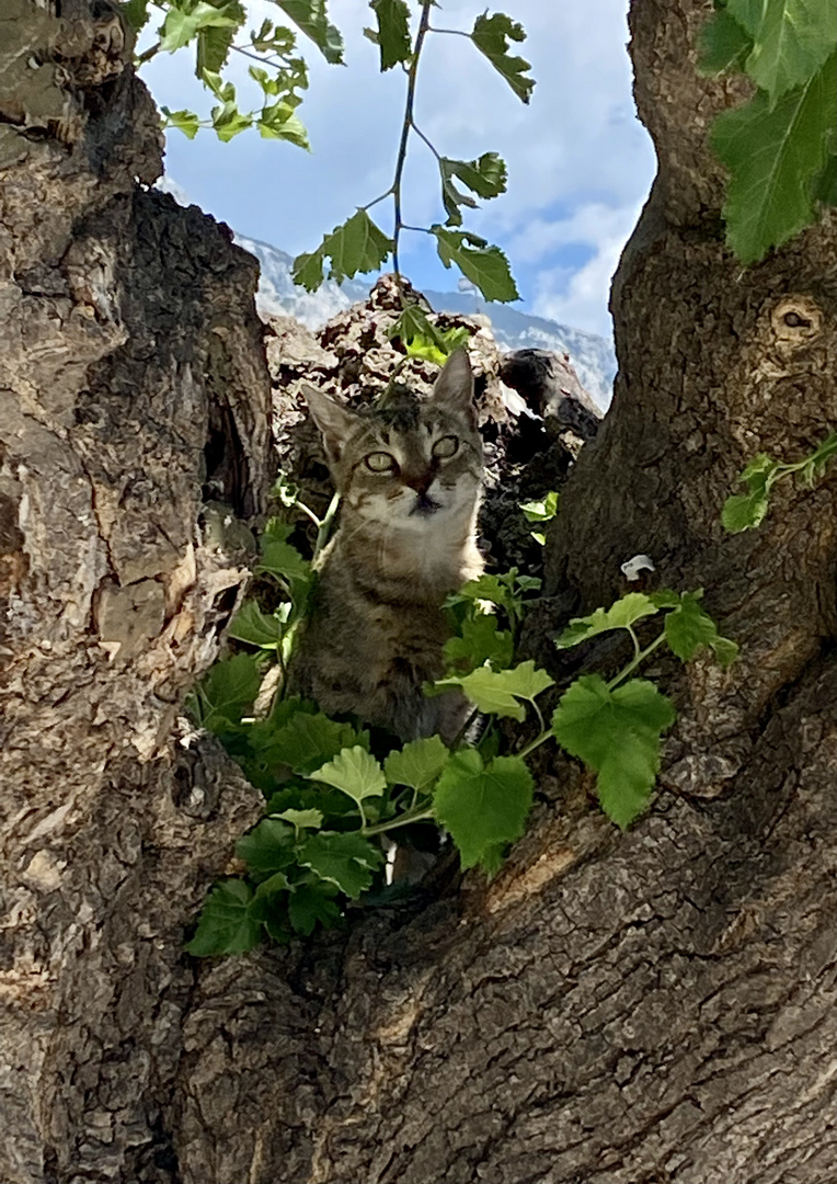 Augen-Blick