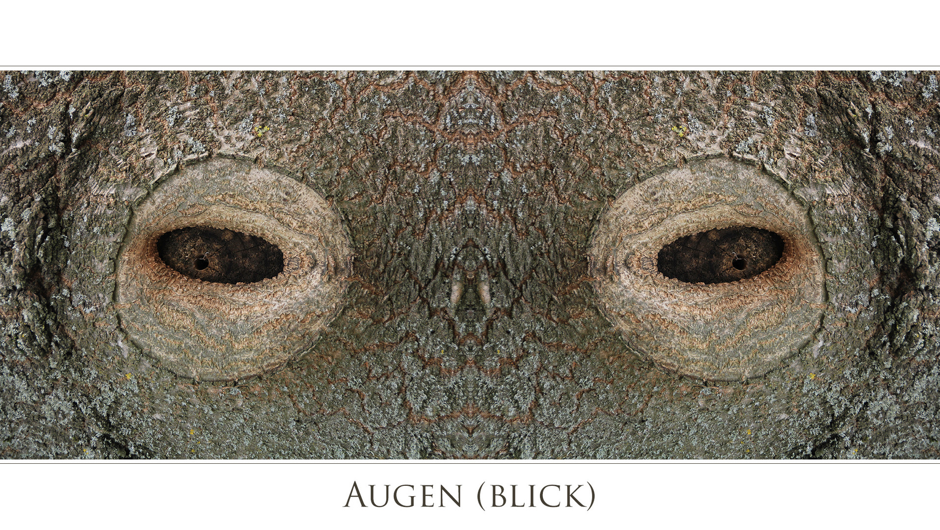 AUGEN-BLICK