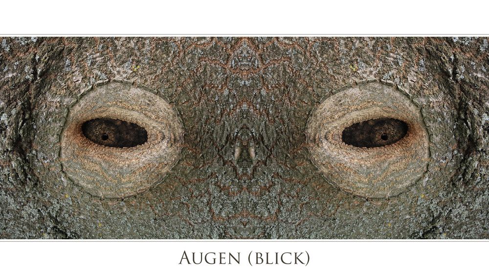 AUGEN-BLICK