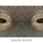 AUGEN-BLICK