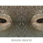 AUGEN-BLICK