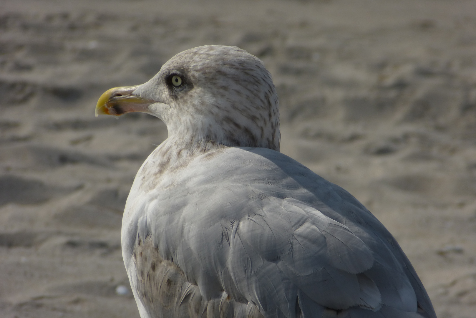 Augen Blick vorbei