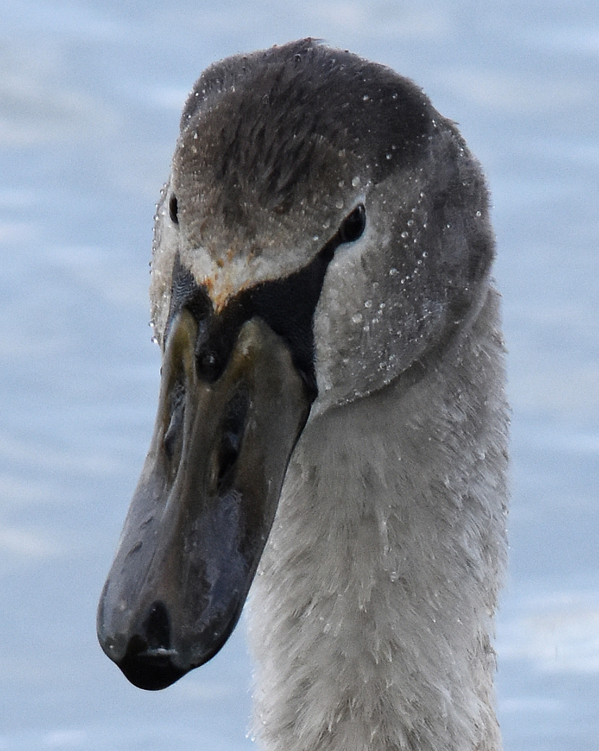 Augen-Blicke