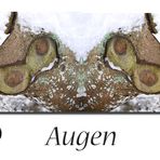 Augen