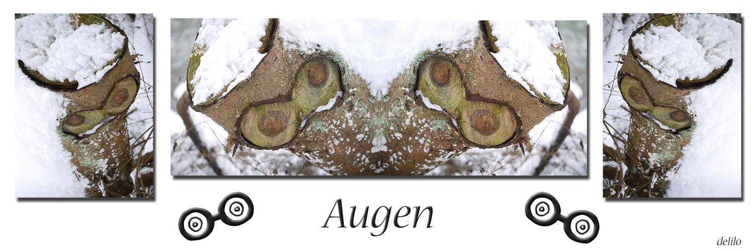 Augen