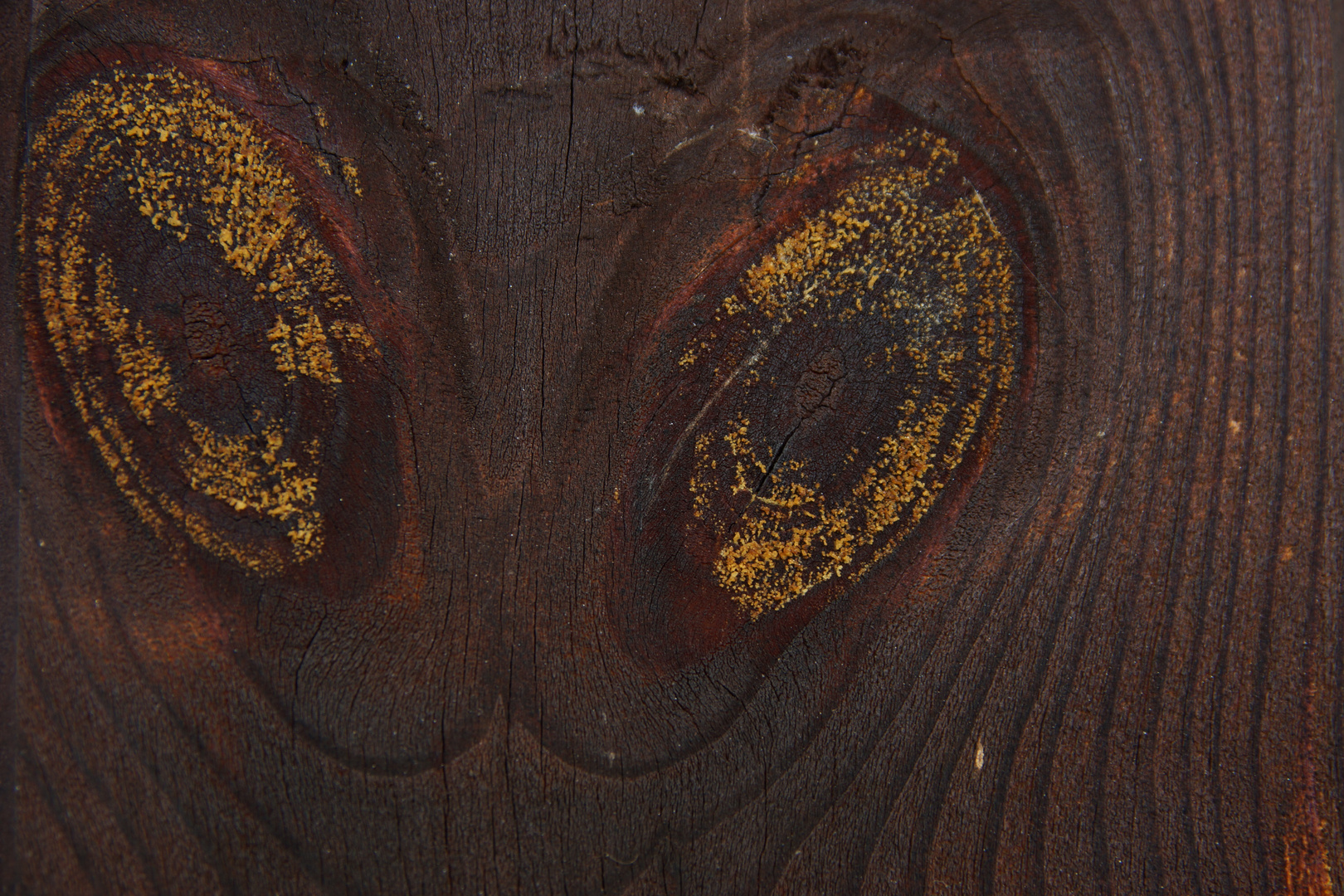 Augen im Holz