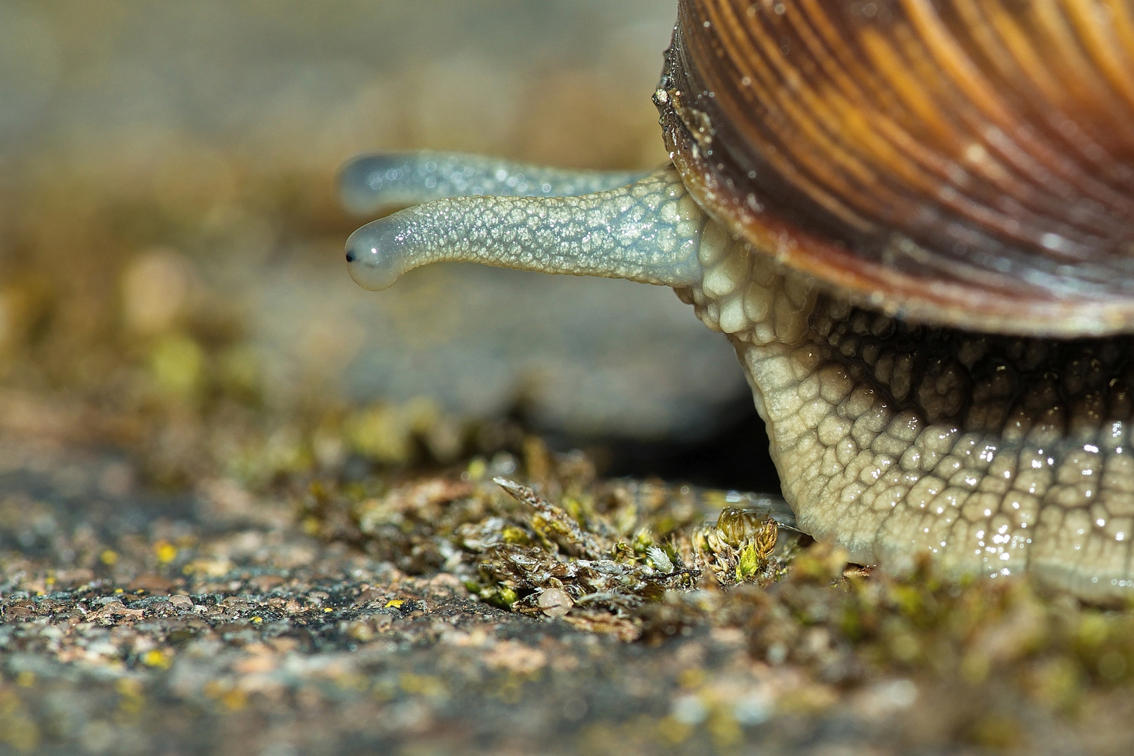 Augen immer schön nach vorn!