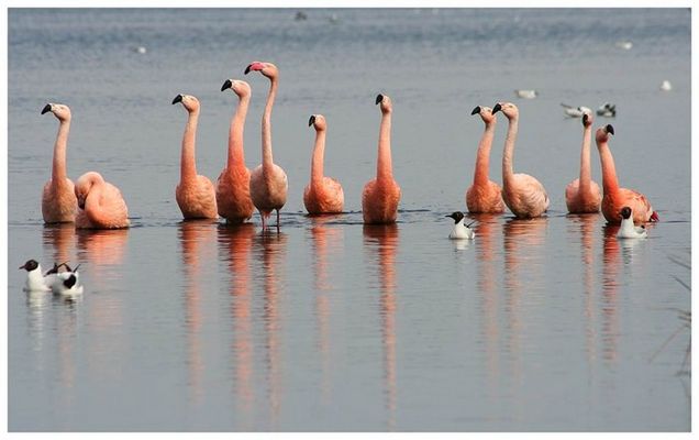 ...augen, nach rechts