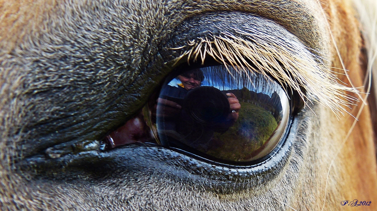 Augen "Spiegel der Seele "