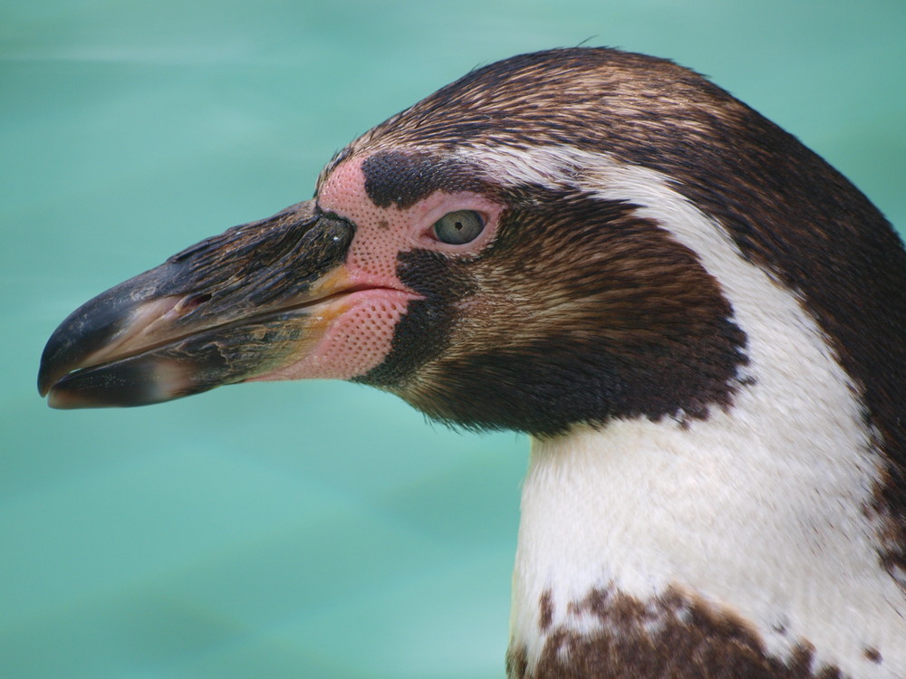 Augen unter Wasser aufgelassen?