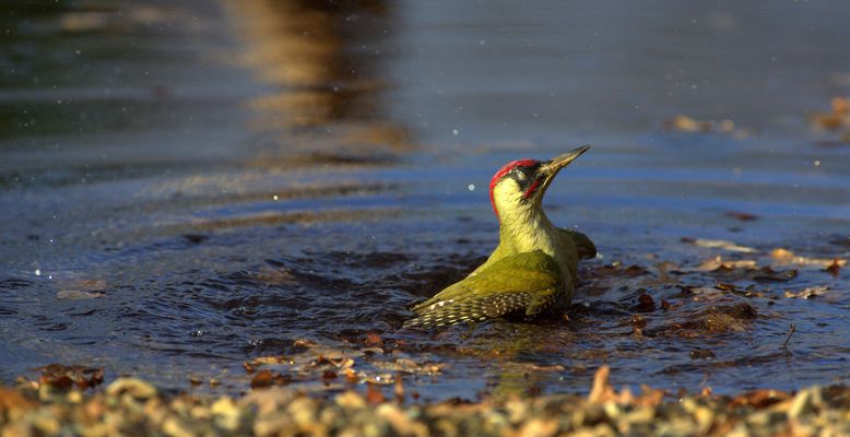 "augen zu und durch"....