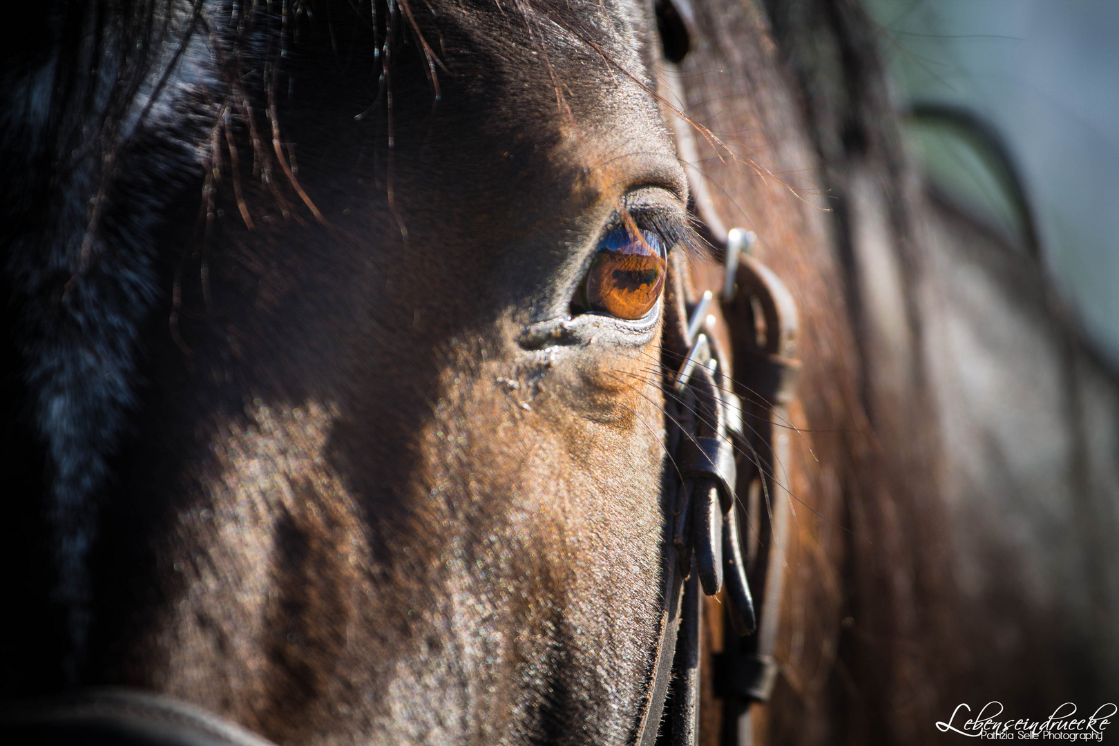 Augen"blick"