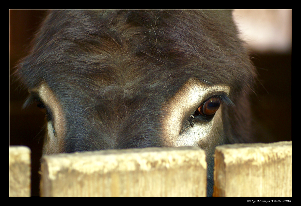 Augenblick