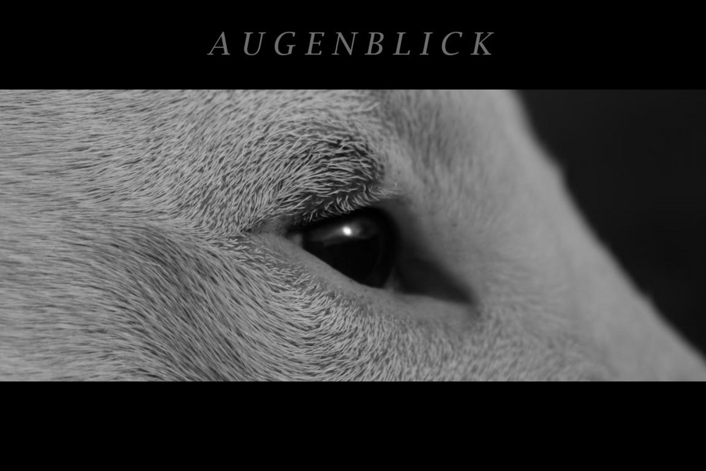 Augenblick