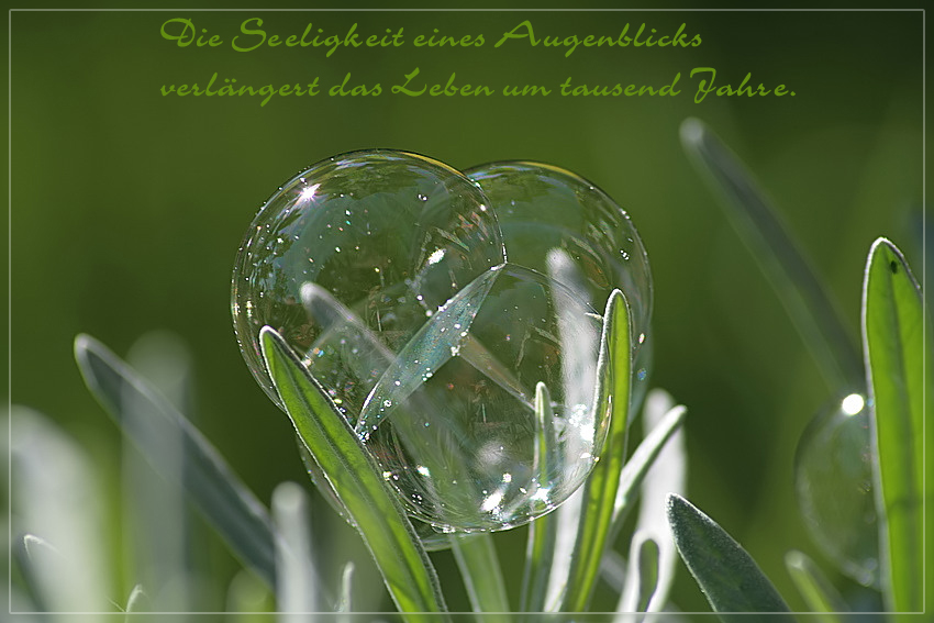 augenblick