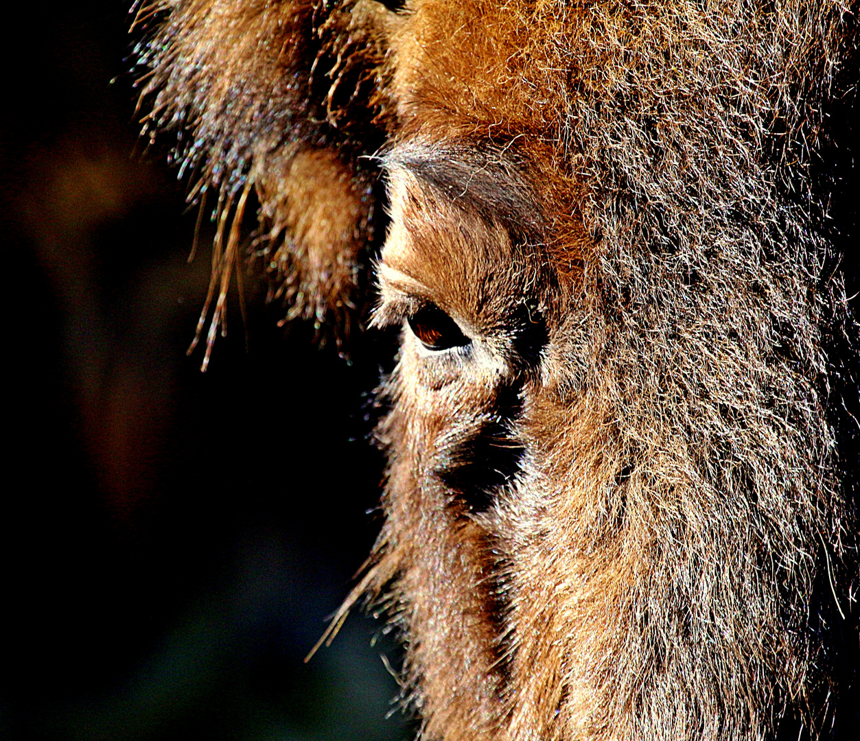 Augen...Blick