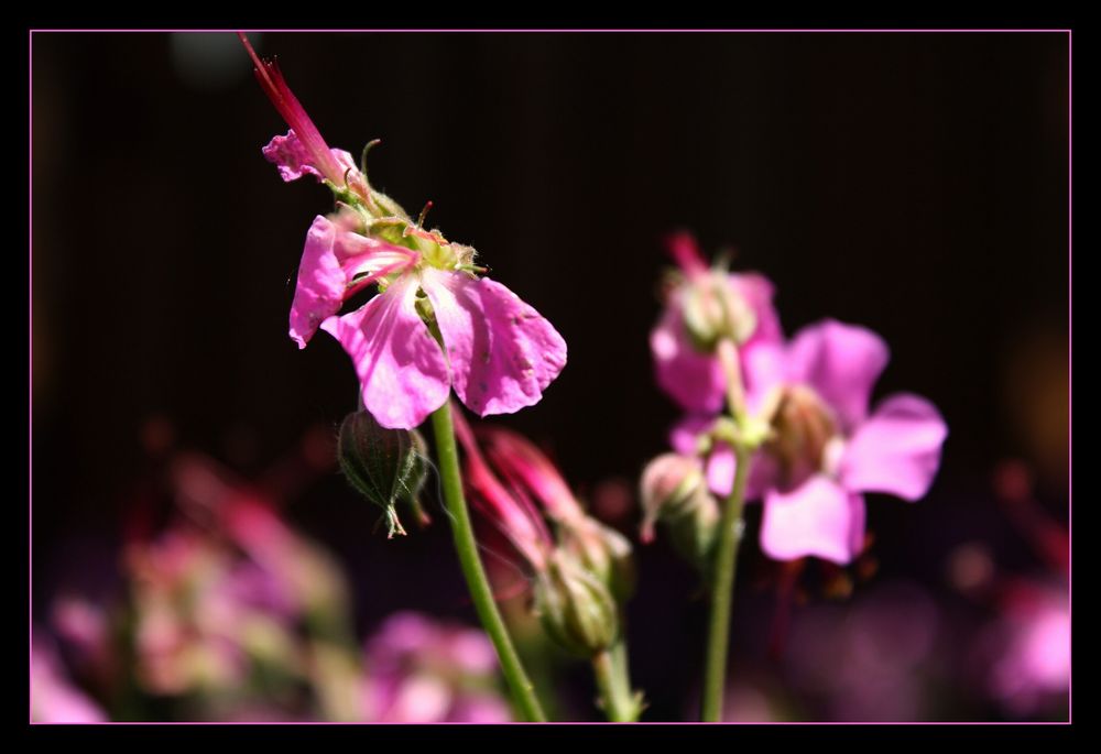 Augenblick von Martina4 Mayer 