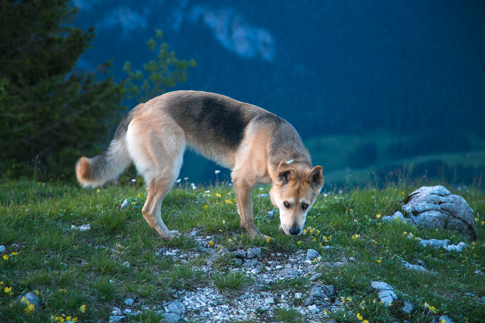 Augenblick