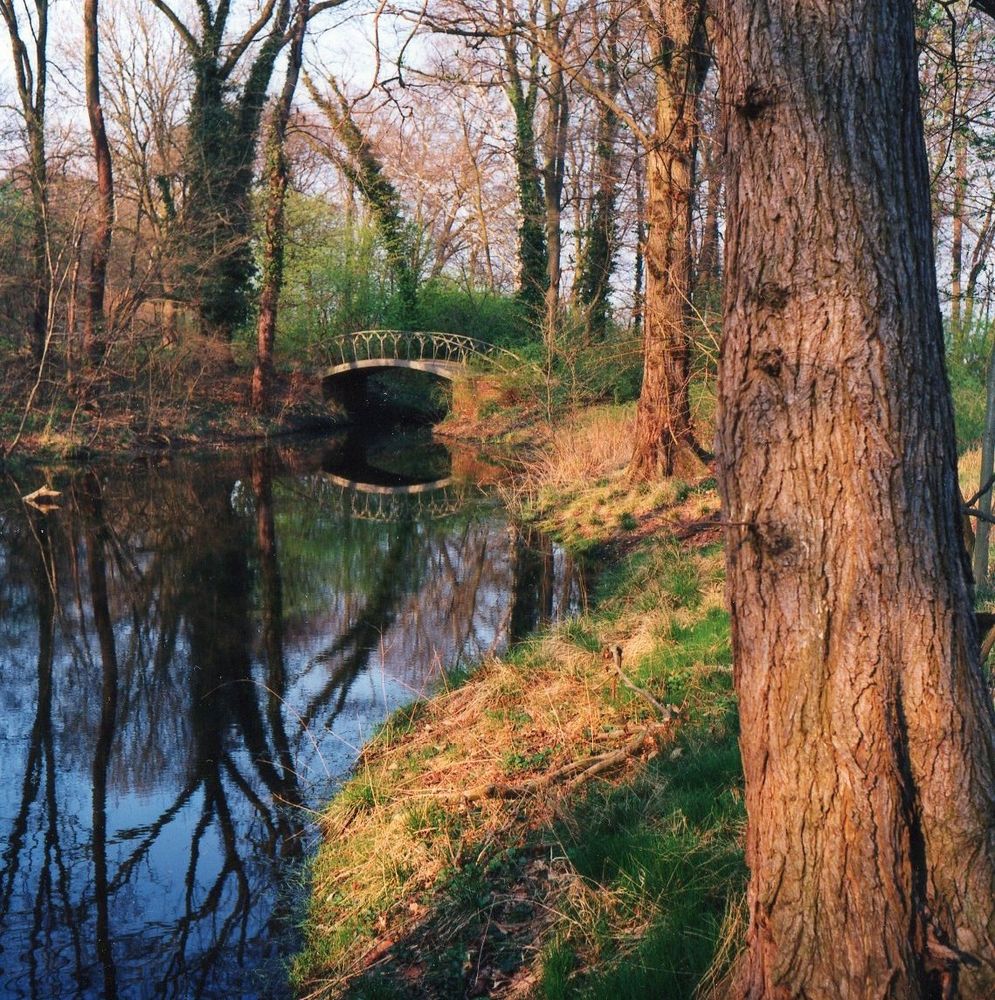 Augenblick des Glücks