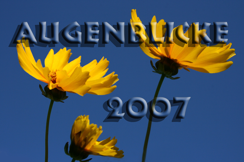 Augenblicke 2007