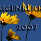 Augenblicke 2007