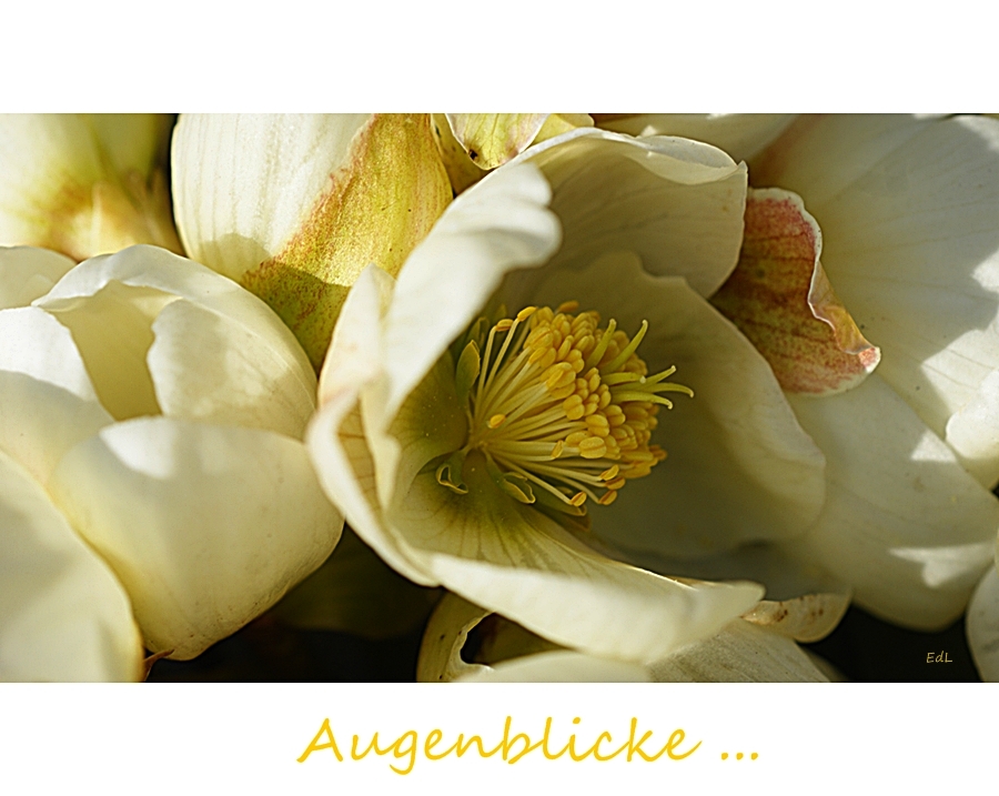 Augenblicke...