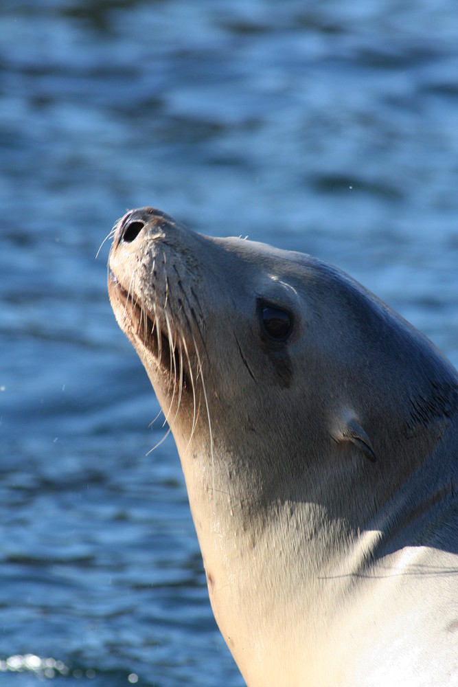 Augenblicke im Tierpark