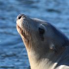 Augenblicke im Tierpark