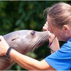 Augenblicke im Zoo von KA - Aug. 2011 / III <