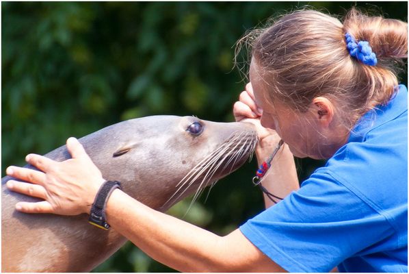 Augenblicke im Zoo von KA - Aug. 2011 / III <