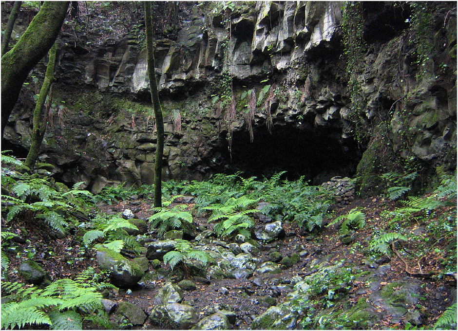 Augenhöhle