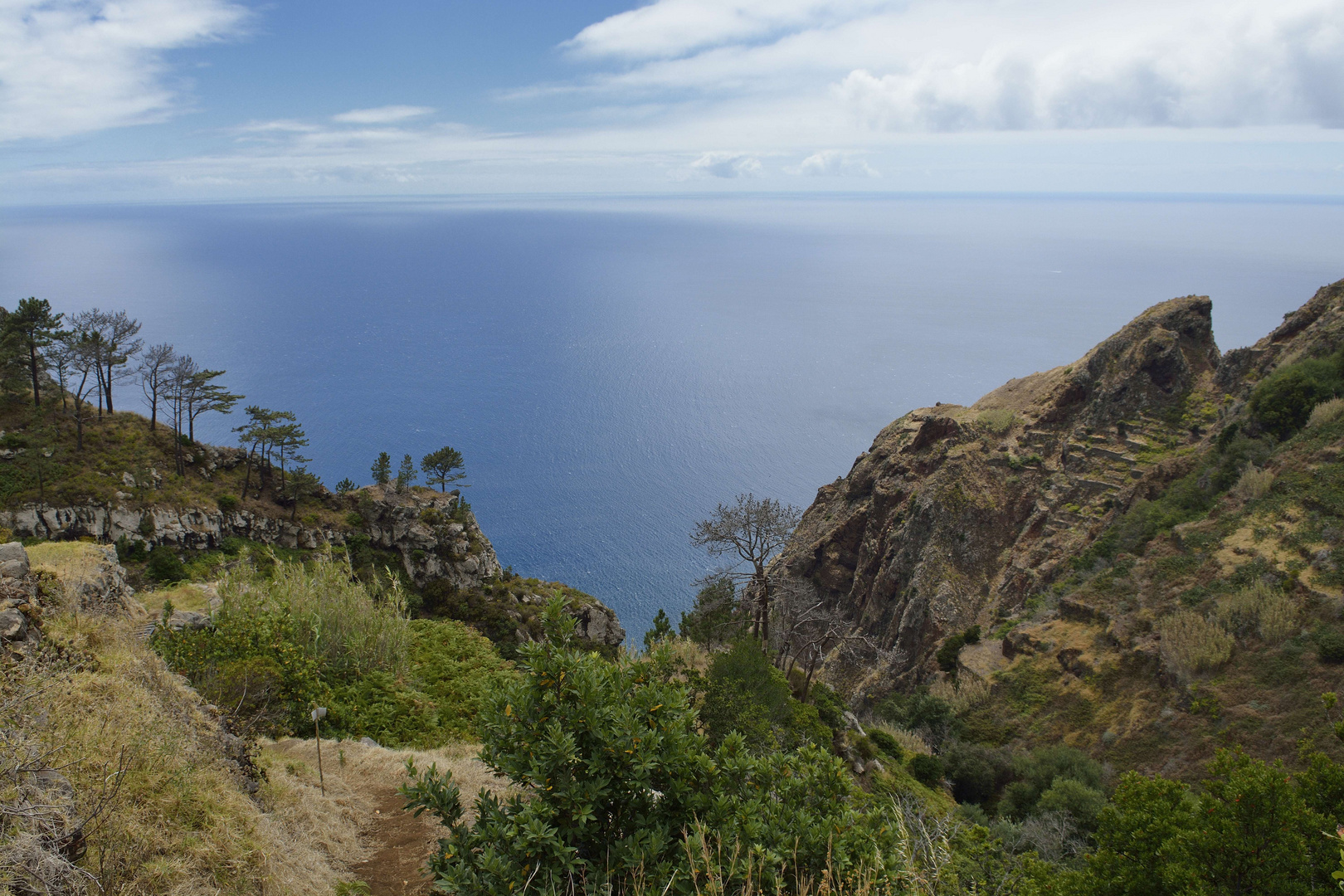 Augenschmaus auf Madeira